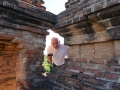 Bagan Gawdaw Palin Tempel_Oct_2017 -043