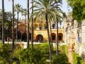 Sevilla_Alcazar-201