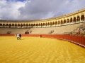 Sevilla-Arena-052