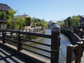 202610_Sawara-001