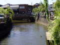 202610_Sawara-005