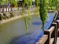 202610_Sawara-055