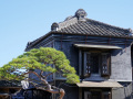 202610_Sawara-058