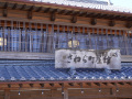 202610_Sawara-061
