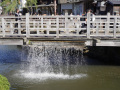 202610_Sawara-071