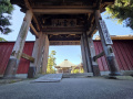 202610_Sawara-089