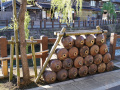 202610_Sawara-156