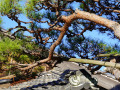 202610_Sawara-160