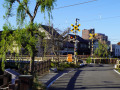 202610_Sawara-165