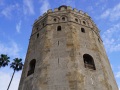 Sevilla-CityPotpourrie-038