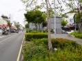 202503_3ShennongSnakeAlley-031