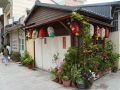 202503_3ShennongSnakeAlley-086