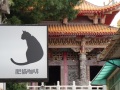 202503_3ShennongSnakeAlley-087
