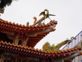 202503_3ShennongSnakeAlley-089