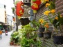 Shennong Street & Snail Alley