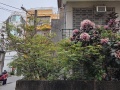 202503_3ShennongSnakeAlley-126