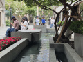 202610_Xintiandi-Sinan-Tianzifang-015