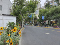 202610_Xintiandi-Sinan-Tianzifang-058