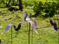 202504_SongshanPark-031