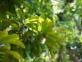 202504_SongshanPark-046