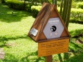202504_SongshanPark-057