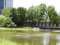 202504_SongshanPark-060