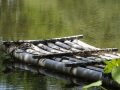 202504_SongshanPark-064