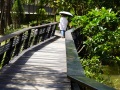202504_SongshanPark-066