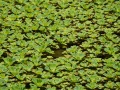 202504_SongshanPark-073