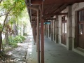 202504_SongshanPark-077