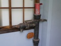 202504_SongshanPark-107