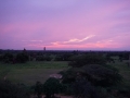 Bagan Sunrise Bulethee Stupa_Oct_2017 -011
