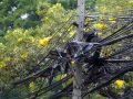 202401_BKKSukumErewan-005