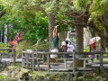 202504_1SunYatsen-011