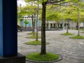 202504_1SunYatsen-025