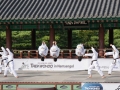 Taekwondo_Seoul2018-007