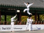 Taekwondo Performance