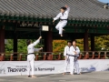 Taekwondo_Seoul2018-017