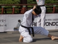 Taekwondo_Seoul2018-025