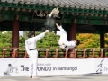 Taekwondo_Seoul2018-027