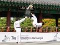 Taekwondo_Seoul2018-027
