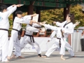 Taekwondo_Seoul2018-043