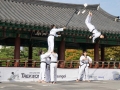 Taekwondo_Seoul2018-047
