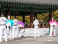 Taekwondo_Seoul2018-058