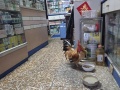 202504_TaichungZentrum-112