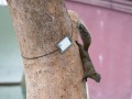 202504_5TaichungPark-013