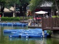 202504_5TaichungPark-018