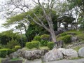202504_5TaichungPark-026
