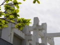 202503_2TainanSpring-028