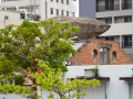 202503_2TainanSpring-059